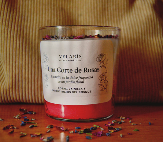 Vela Literaria - "Una Corte de Rosas"